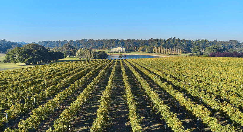 Fraser Gallop Estate